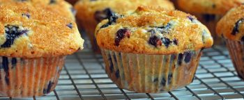 Morning blueberry muffins