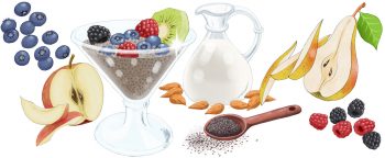 Chia pudding ingredients and artwork