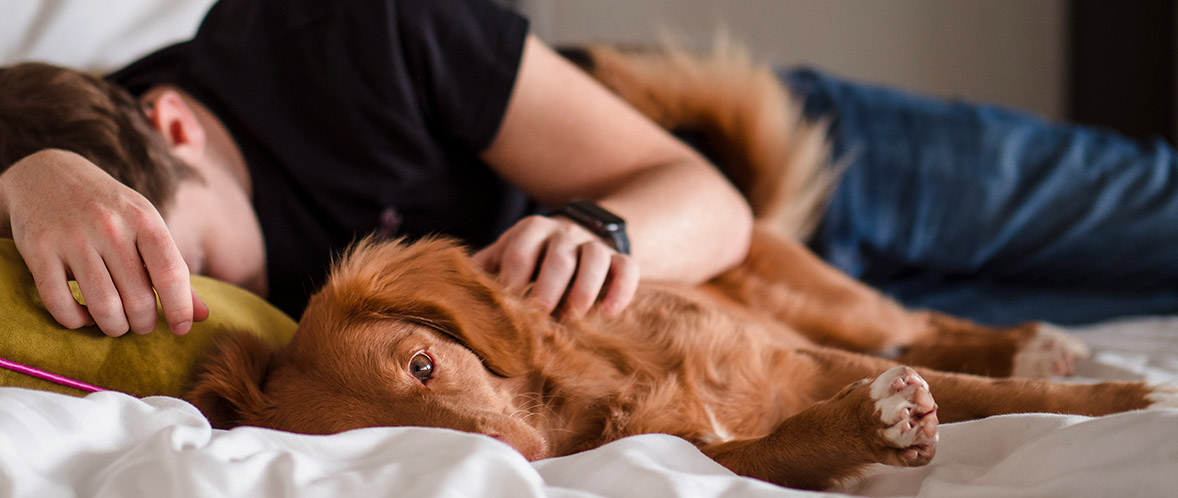 Somnowell device and snoring